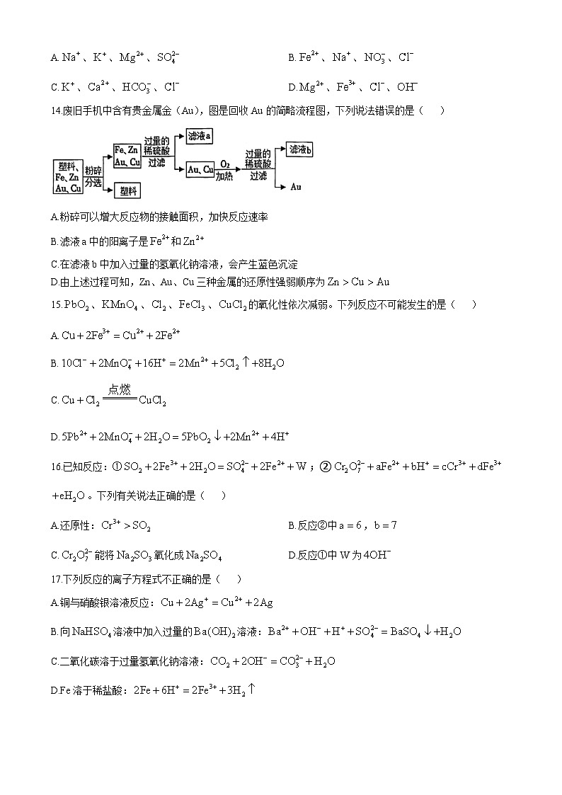 江苏省南京外国语学校2024-2025学年高一上学期10月月考 化学试卷(无答案)第3页