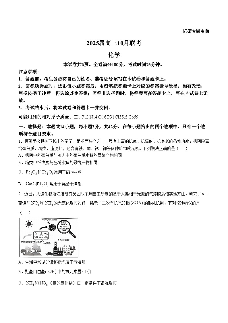 湖南省部分学校2024-2025学年高三上学期10月月考 化学试题第1页