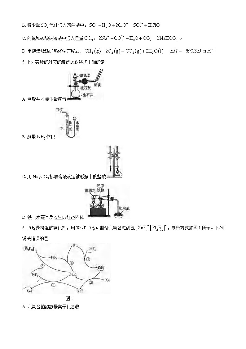 重庆市第八中学校2024-2025学年高三上学期10月月考 化学试卷02