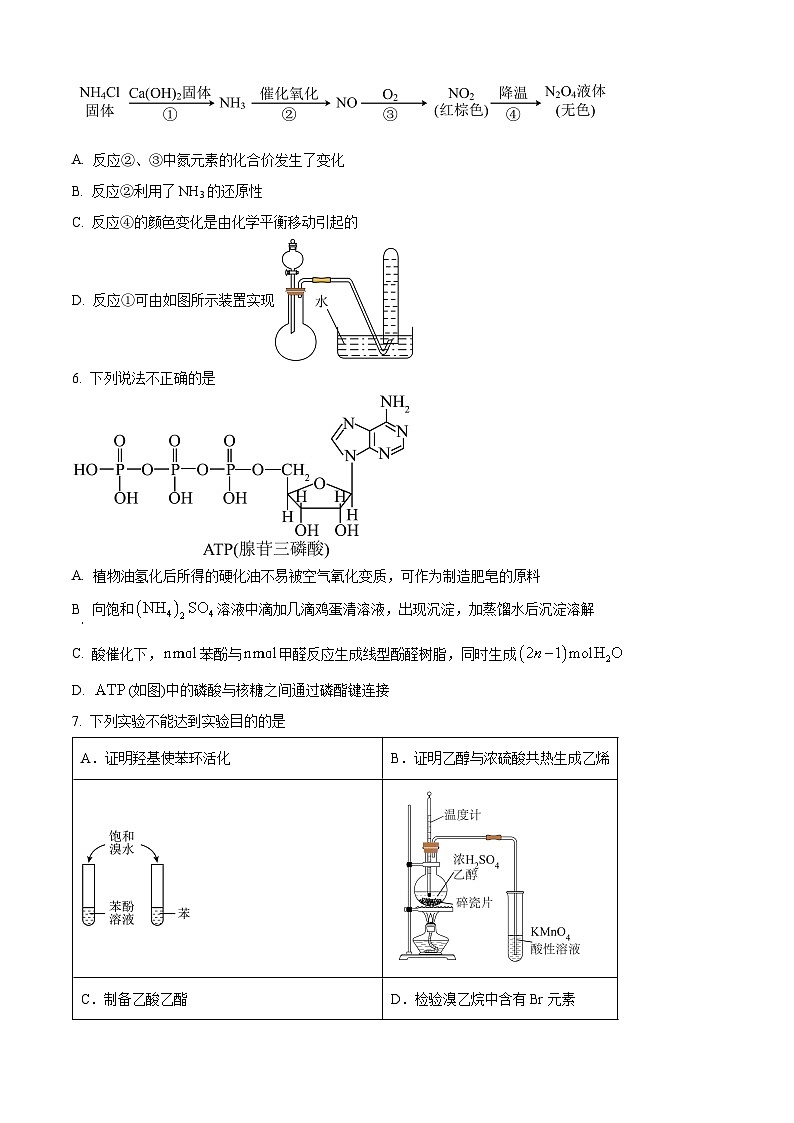 北京市第四中学2024-2025学年高三上学期10月阶段性测试  化学试题 Word版无答案第2页