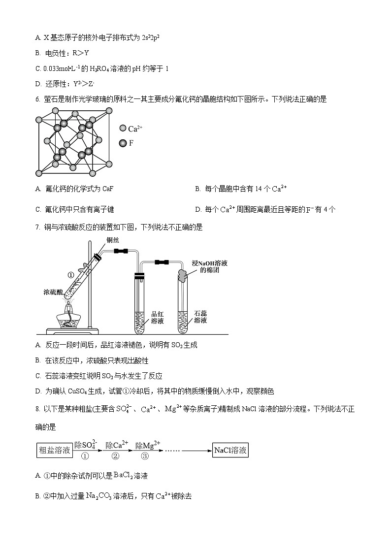 北京清华大学附属中学2024-2025学年高三上学期 化学9月检测试题 Word版无答案第2页