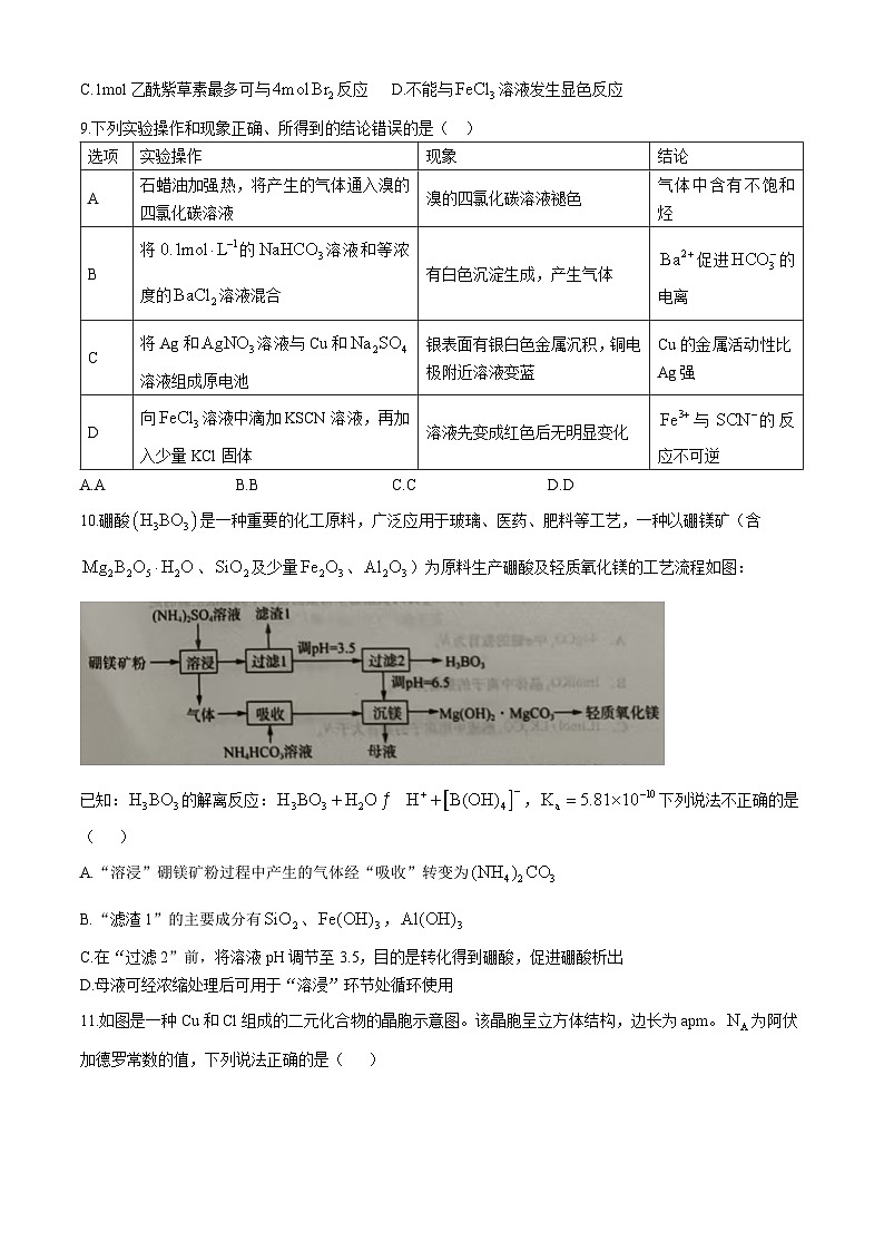 河北省邯郸市武安市第一中学2024-2025学年高三上学期10月期中考试 化学试题(无答案)第3页