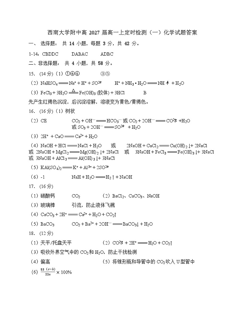 重庆市西南大学附属中学校2024-2025学年高一上学期定时检测（一）（10月）化学试题01