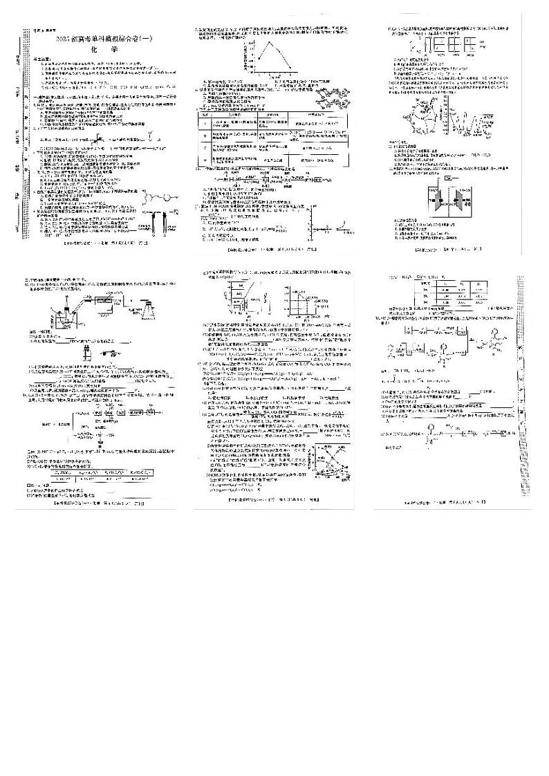 河北省邯郸市部分校2024-2025学年高三年级上学期月考化学试卷（一）第1页