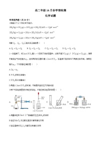 山东省济南市平阴县实验高级中学2024-2025学年高二上学期10月月考 化学试题