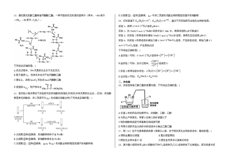 山东省新泰市弘文中学2024-2025学年高三上学期期中检测  化学试题03