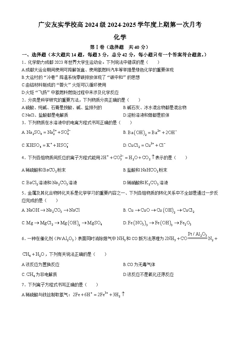 四川省广安市友实学校2024-2025学年高一上学期第一次月考  化学试题01