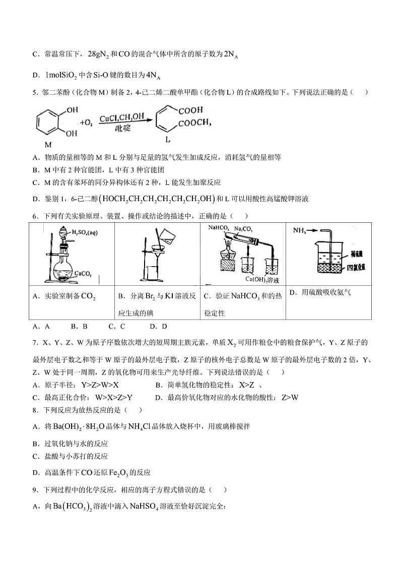 河南省金科新未来2024-2025学年高三上学期10月联考化学试卷+答案第2页
