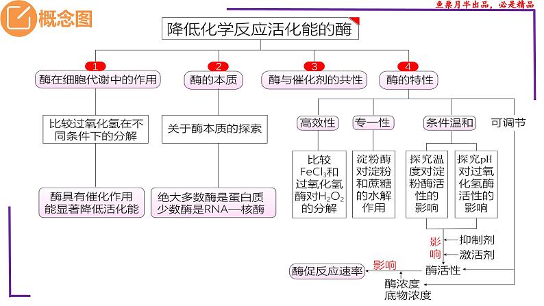 （新人教版）新高考生物一轮复习精讲课件13 降低化学反应活化能的酶（含答案）第3页