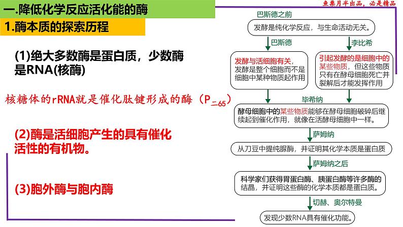 （新人教版）新高考生物一轮复习精讲课件13 降低化学反应活化能的酶（含答案）第4页