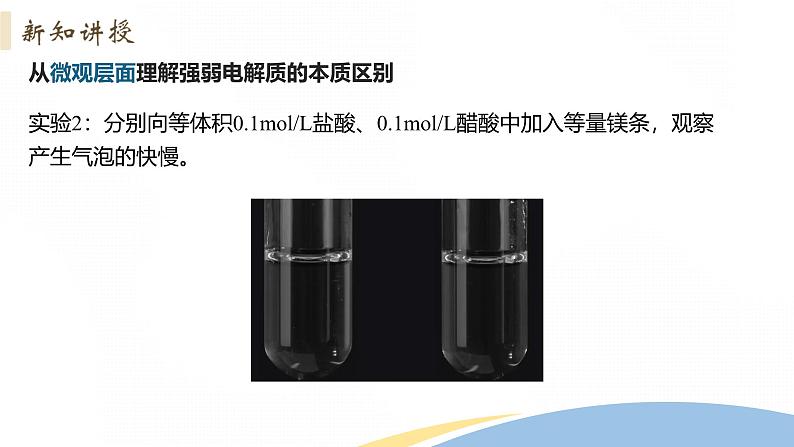 3.1 课时1 弱电解质的电离平衡 课件 2024-2025学年高二化学人教版（2019）选择性必修1第5页