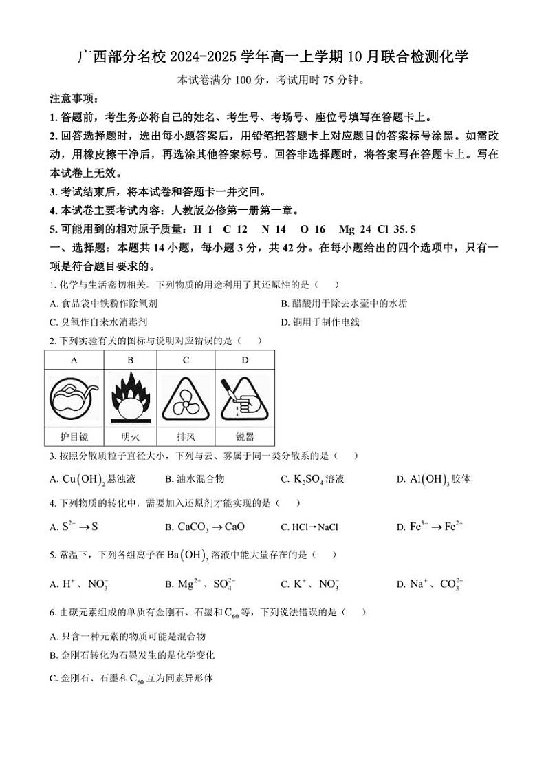 广西部分名校2024～2025学年高一上学期10月联合检测化学试题（A1）（含解析）01