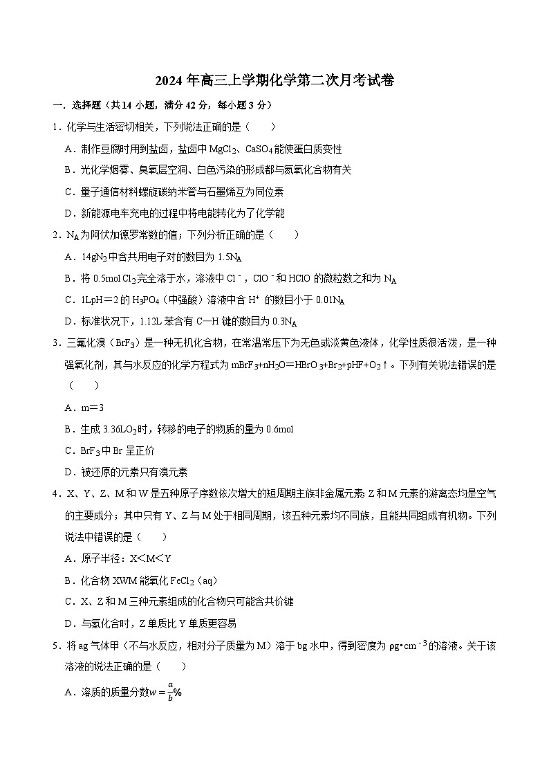 湖南省岳阳市临湘市2024-2025学年高三上学期10月月考 化学试题第1页