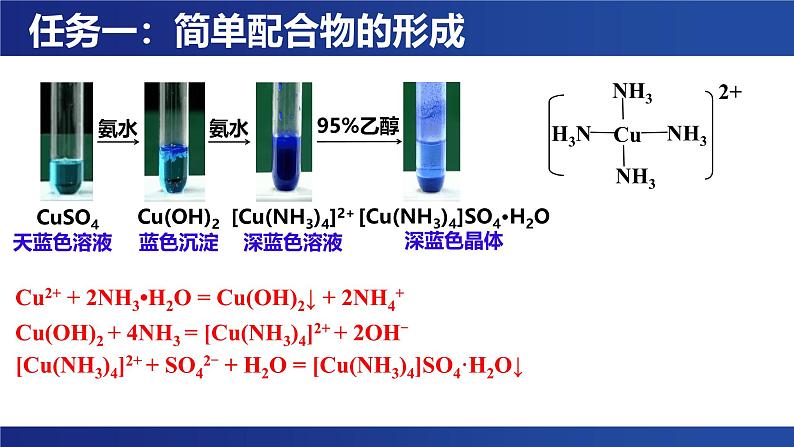 实验活动 简单配合物的形成 课件 --2024-2025学年《化学》高中·选修第1册（人教版）第6页