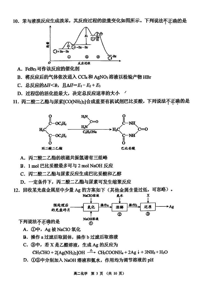 北京市第三十一中学2024-2025学年第一学期高三化学期中试题第3页