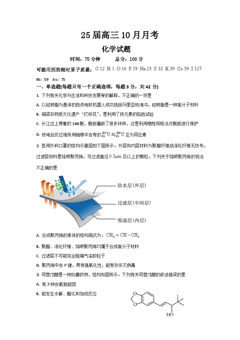 四川省仁寿第一中学校南校区2024-2025学年高三上学期10月月考化学试题01