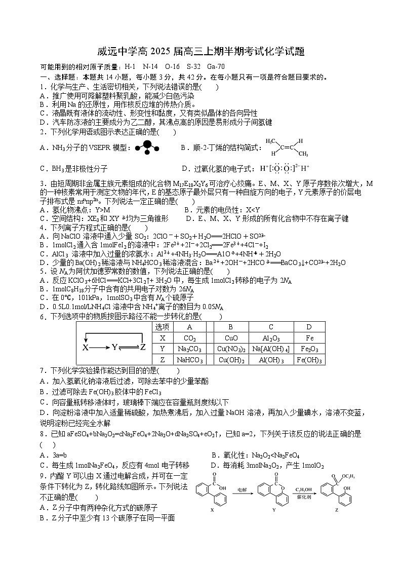 四川省内江市威远中学校2024-2025学年高三上学期期中考试 化学试题第1页