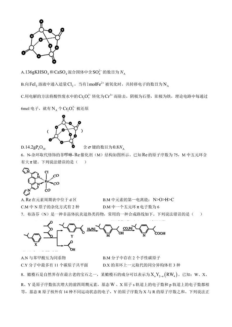 2025届河北省新高考高三10月单科模拟综合卷（三）-化学试题+答案第2页