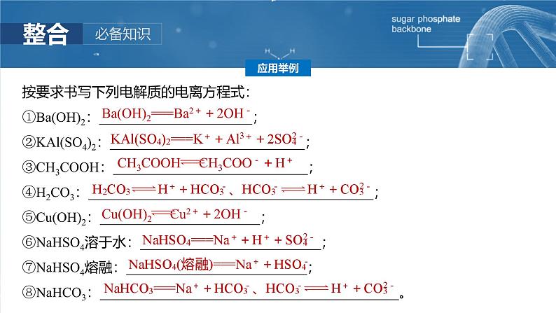 2025年高考化学一轮复习课件（新高考版）大单元1  第1章　第2讲　离子反应　离子方程式第8页