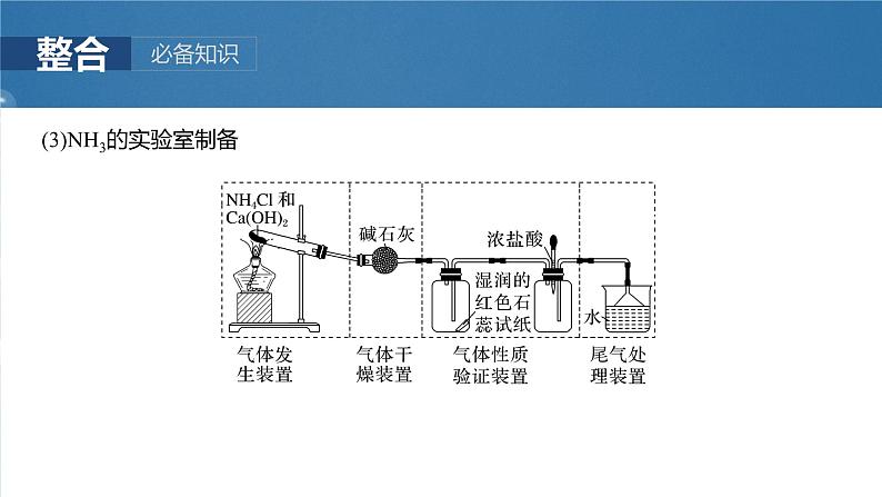 2025年高考化学一轮复习课件（新高考版）大单元2  第6章　第28讲　常见气体的实验室制备、净化和收集第8页