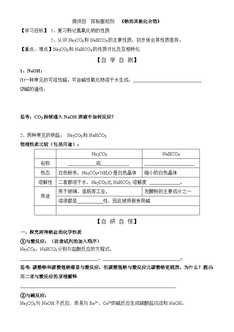 11  鲁科版（2019）高一化学必修一第一章微项目导学案第1页