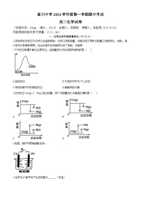 上海市新川中学2024-2025学年高二上学期期中考试化学试卷  (无答案)