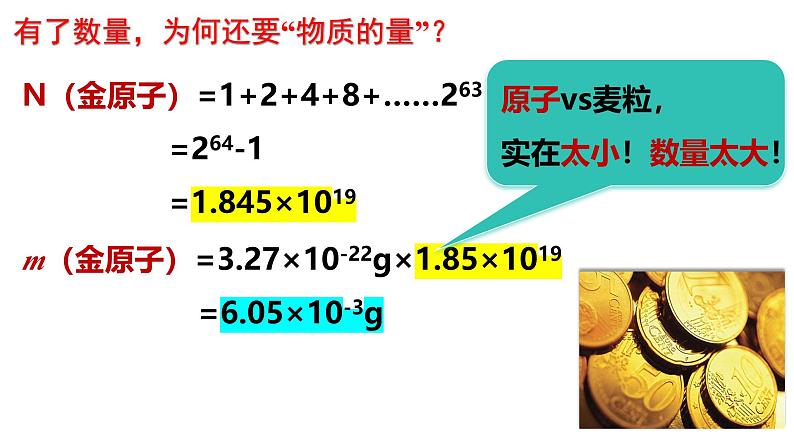 2.3.1物质的量  摩尔质量  课件  2024-2025学年高一上学期化学人教版（2019）必修第一册第5页