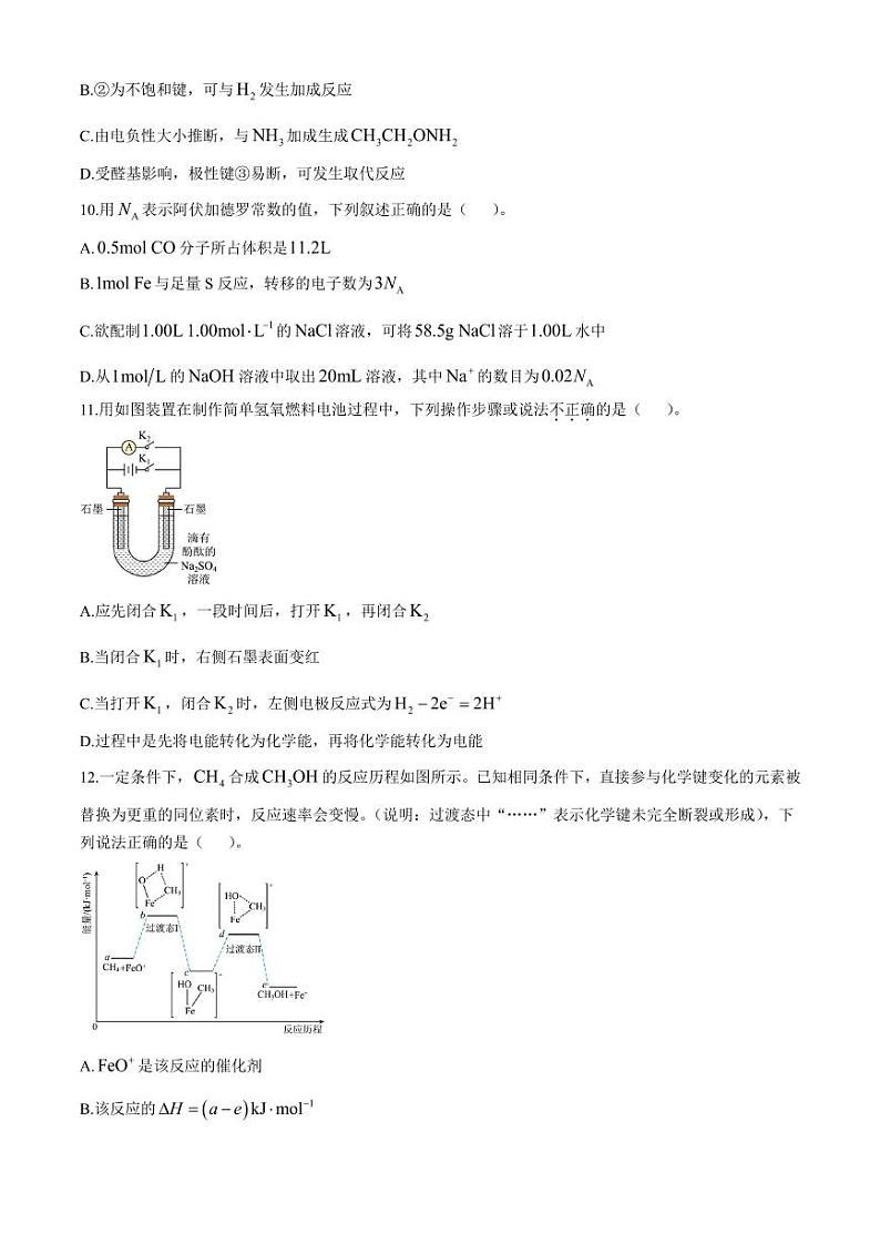 华南师大附中2025届高三上学期11月综合测试（二）化学试题+答案第3页