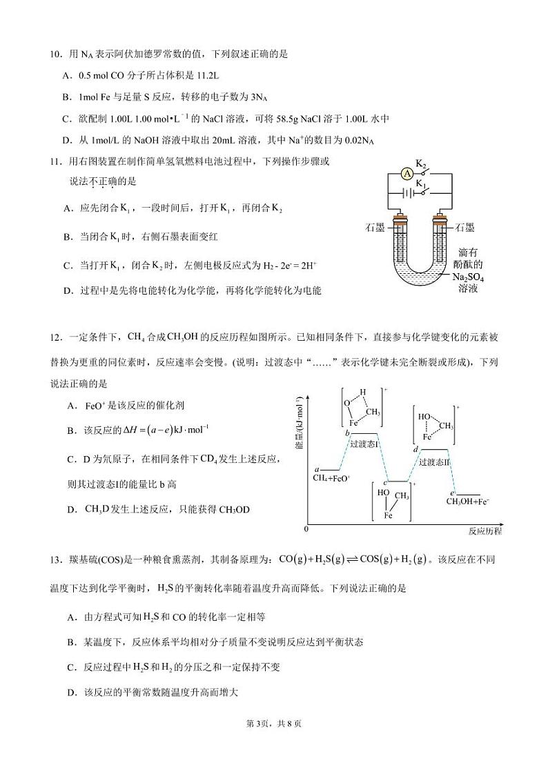 2025广东省华南师大附中高三上学期11月综合测试（二）化学PDF版含答案（可编辑）第3页