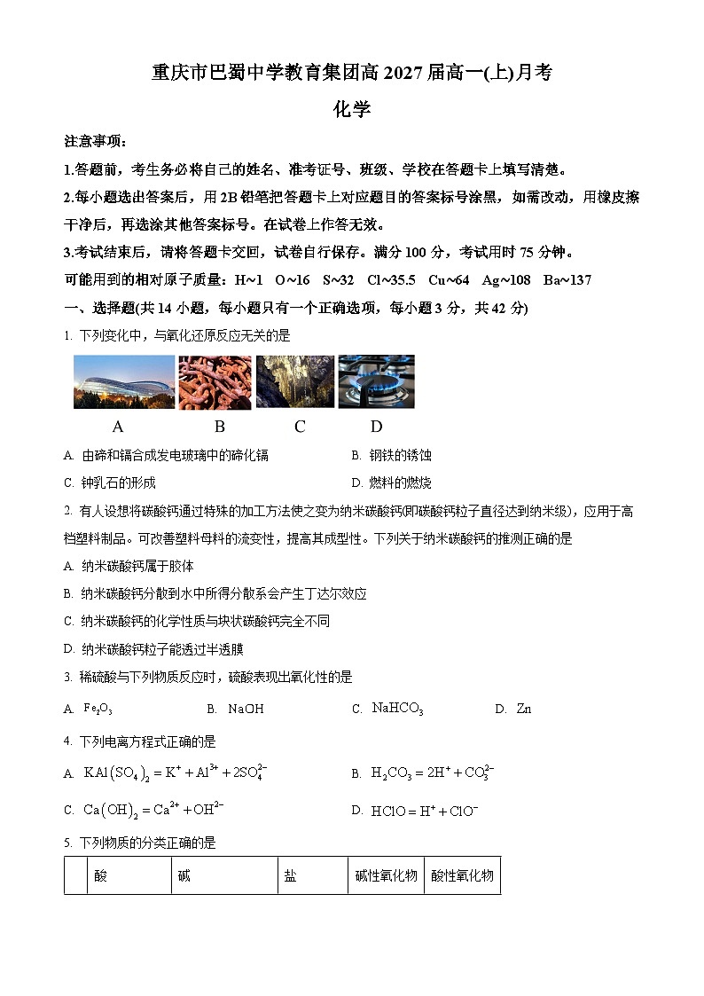 重庆市巴蜀中学校（本部）2024-2025学年高一上学期10月月考 化学试题 Word版无答案第1页