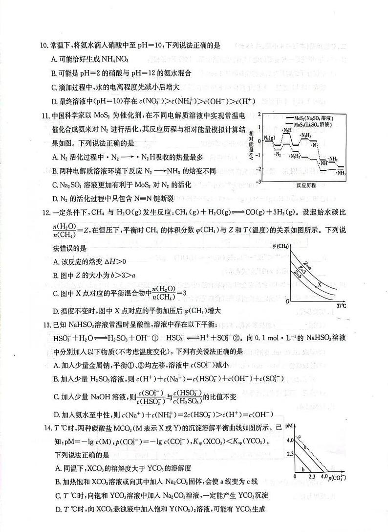 河南省洛阳强基联盟2024-2025学年高二上学期10月联考化学试卷（PDF版附解析）第3页