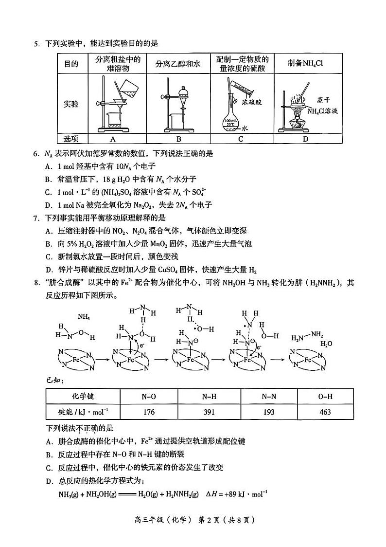 北京市海淀区2024-2025学年高三上学期11月期中考试化学试卷（PDF版附答案）第2页