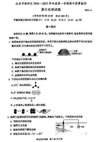2024年北京朝阳区高三（上）期中化学试题及答案第1页