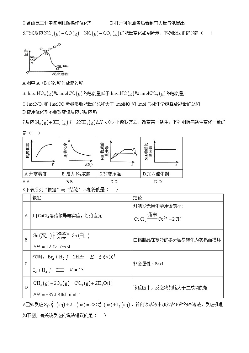 北京市第十九中学2024-2025学年高二上学期期中考试化学试卷第2页