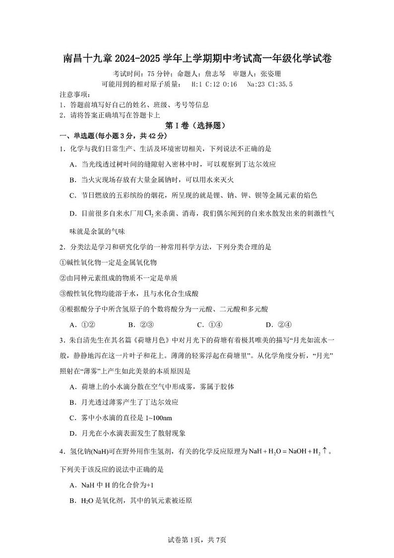 江西省南昌市第十九中学2024-2025学年高一上学期11月期中考试 化学试题01