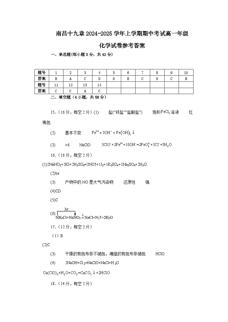 江西省南昌市第十九中学2024-2025学年高一上学期11月期中考试 化学试题01