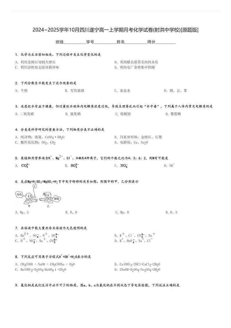 2024～2025学年10月四川遂宁高一上学期月考化学试卷(射洪中学校)[原题+解析版]第1页