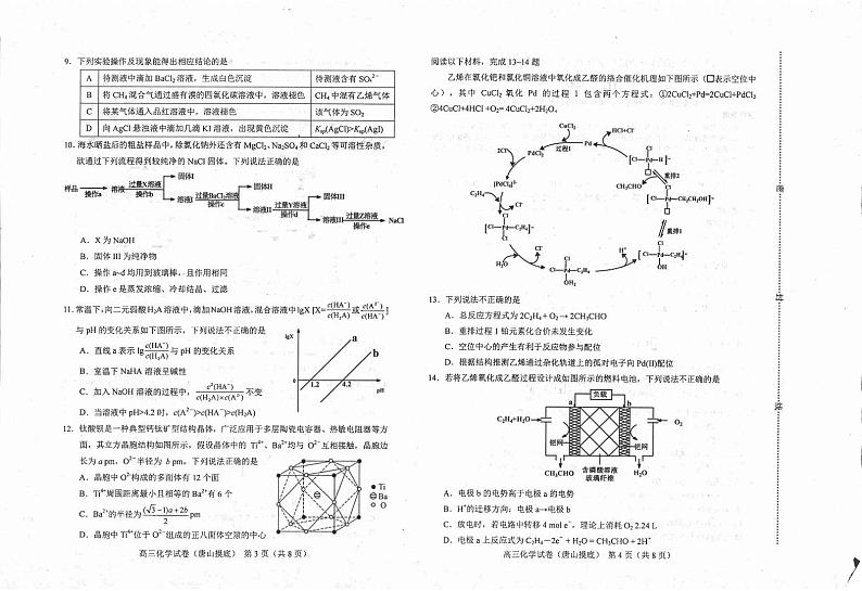 河北省唐山市2024-2025学年高三上学期开学考试化学试题 第2页