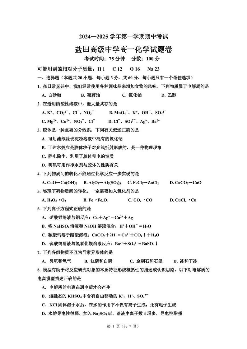 广东省深圳市盐田高级中学2024-2025学年高一上学期11月期中考试 化学试题第1页