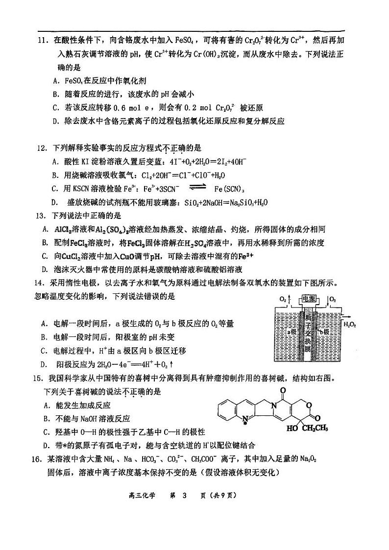 2024北京育才高三上学期10月月考化学试题第3页