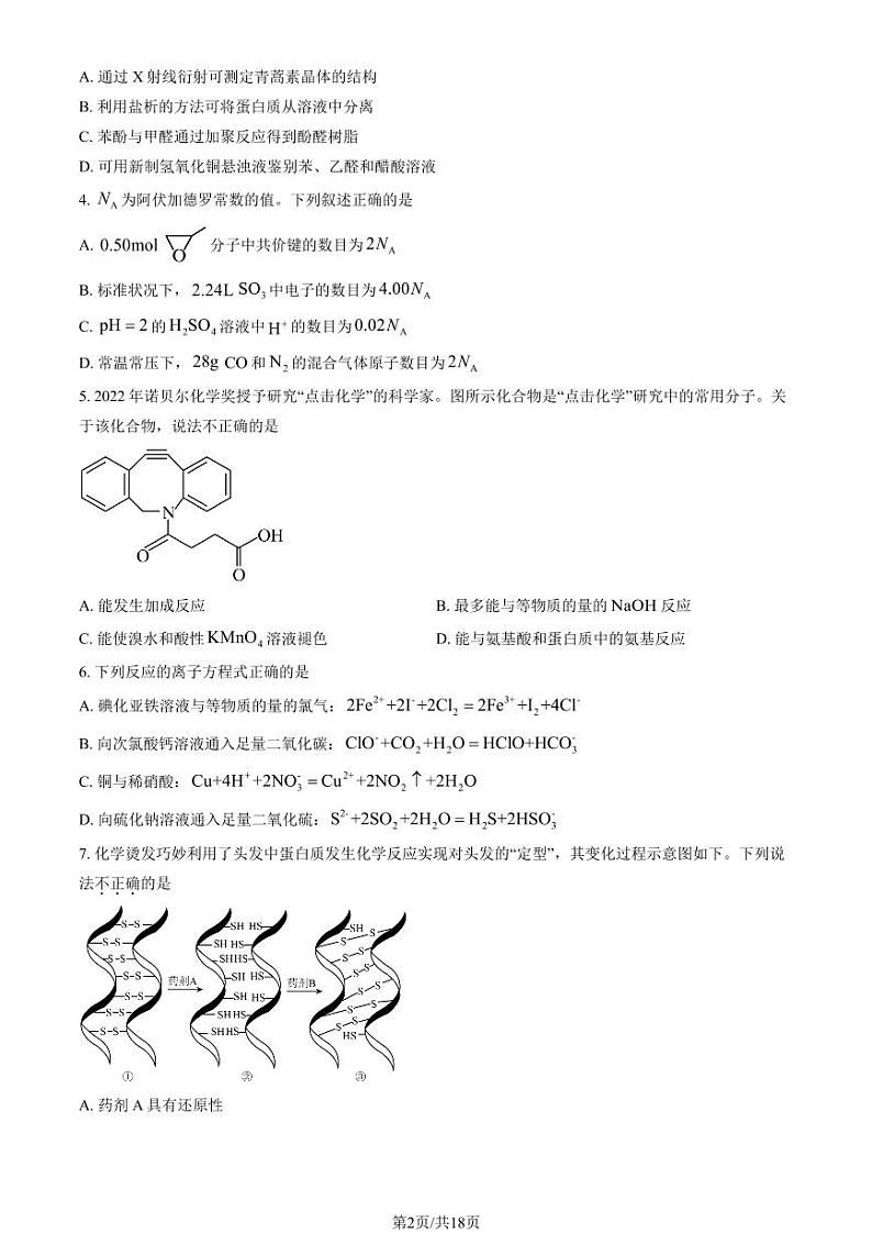 2024北京首都师大附中高三上学期9月月考化学试题及答案第2页
