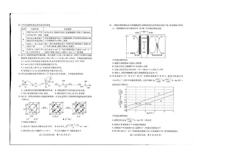 湖北省武汉市2025届高三上学期9月调研考试 化学试卷第2页