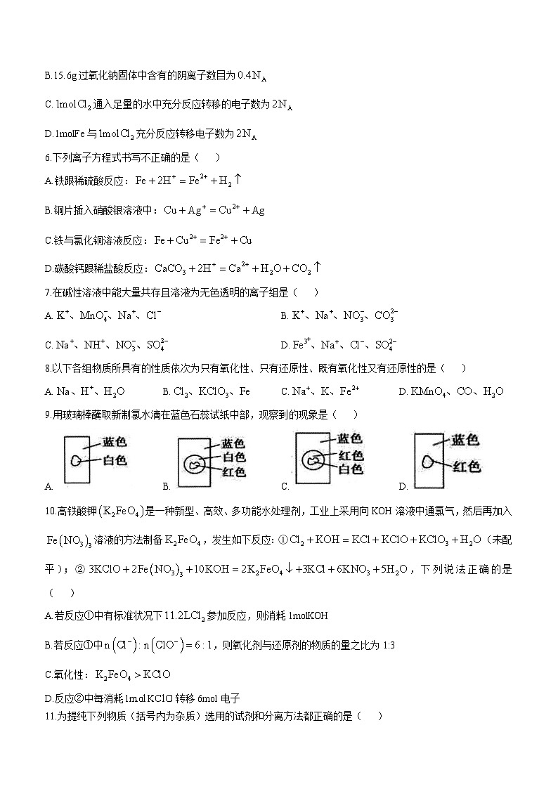 浙江省杭州市浙里特色2024-2025学年高一上学期11月期中考试 化学试题(无答案)第2页