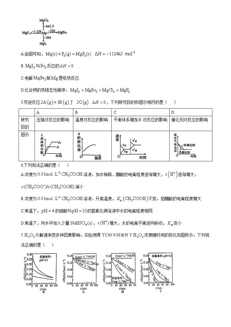 河北省邯郸市2024-2025学年高二上学期11月期中考试化学试卷（Word版附解析）第2页