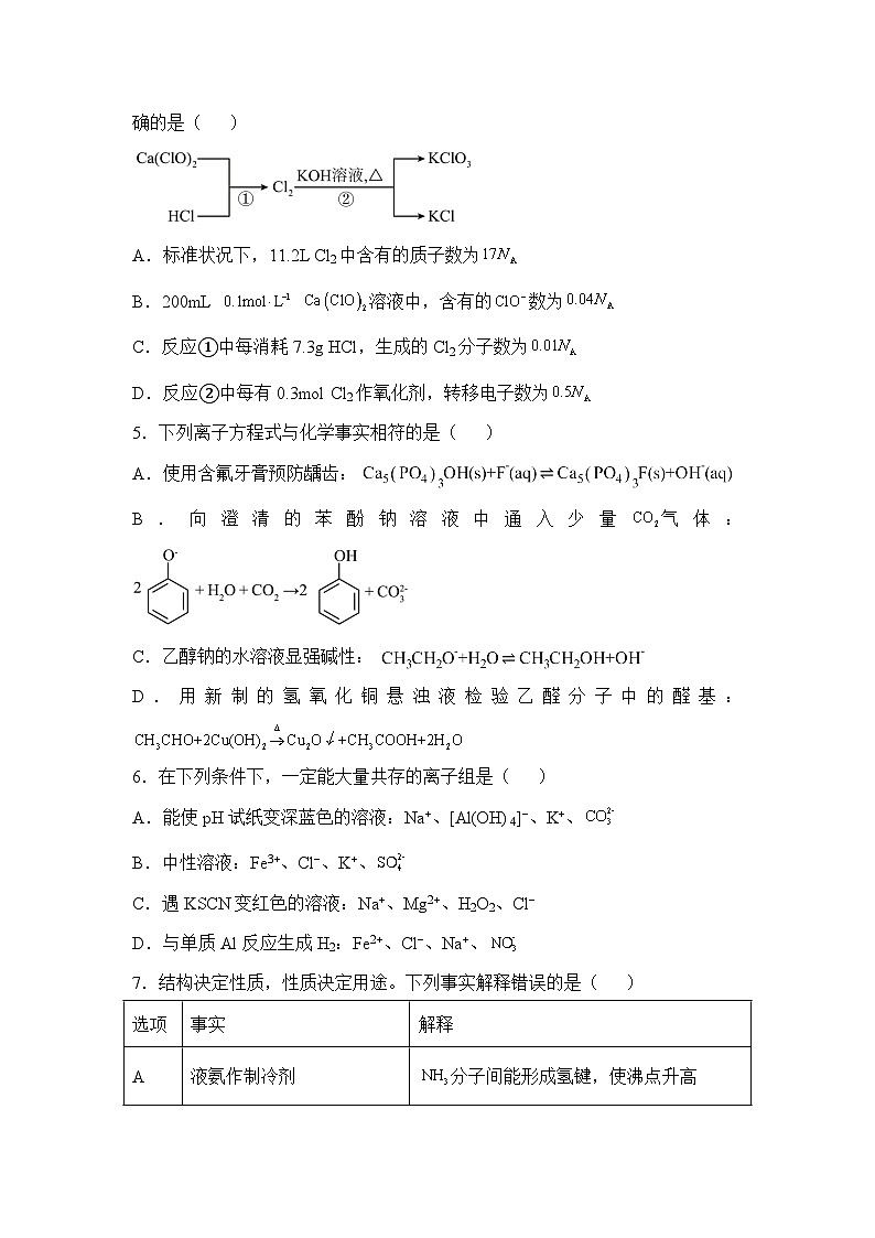 湖南省衡阳市衡阳县2024-2025学年高三上学期11月期中考试 化学试题第2页