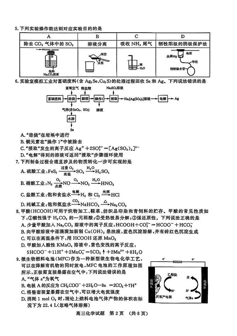 山东省名校考试联盟2024-2025学年高三上学期期中考试化学试题（含答案）第2页