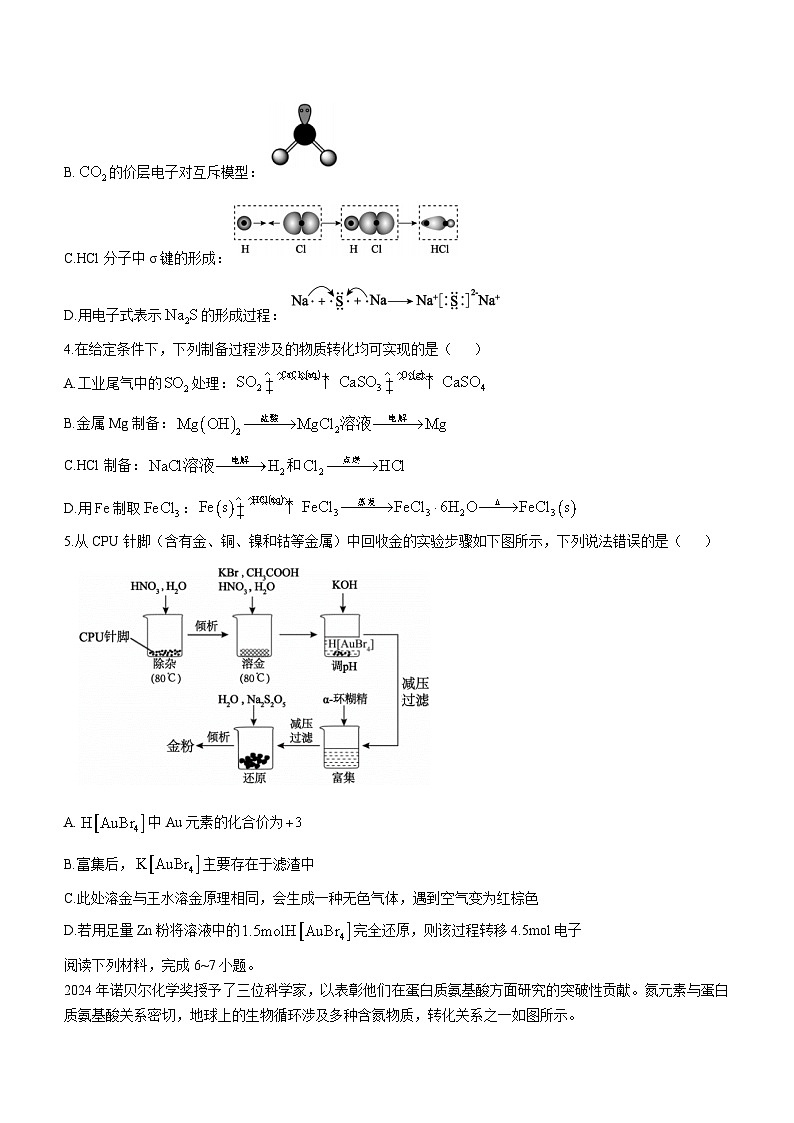 2025安徽省鼎尖教育联盟高三上学期11月期中联考试题化学含解析第2页