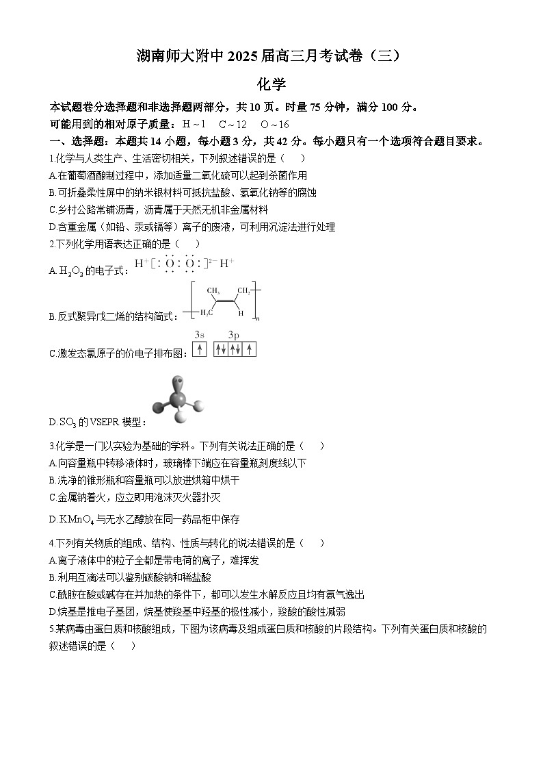 湖南省长沙市师大附中2024-2025学年高三上学期第三次月考化学试题（Word版附答案）第1页
