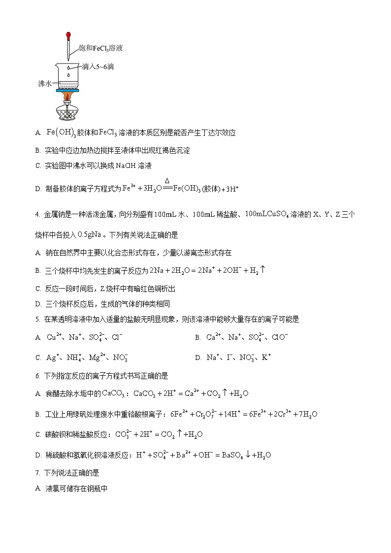 湖南省长沙市长郡中学2024-2025学年高一上学期11月期中考试 化学试题（原卷版）(1)第2页