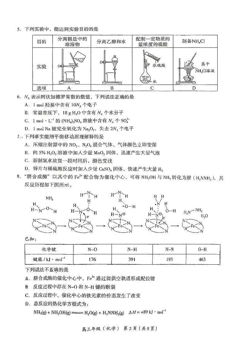 2025届北京市海淀区高三上学期11月期中练习-化学试卷+答案第2页